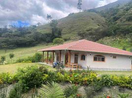 2 Habitación Casa en venta en Ecuador, Vilcabamba (Victoria), Loja, Loja, Ecuador