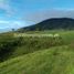 Land for sale in Valencia City, Northern Mindanao, Valencia City, Bukidnon