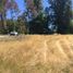  Terreno (Parcela) en venta en Araucanía, Villarrica, Cautín, Araucanía