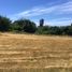  Terreno (Parcela) en venta en Araucanía, Villarrica, Cautín, Araucanía