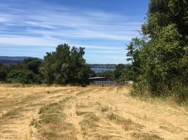  Terreno (Parcela) en venta en Araucanía, Villarrica, Cautín, Araucanía
