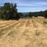  Terreno (Parcela) en venta en Araucanía, Villarrica, Cautín, Araucanía
