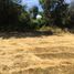  Terreno (Parcela) en venta en Araucanía, Villarrica, Cautín, Araucanía
