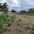  Land for sale in Portoviejo, Manabi, Portoviejo, Portoviejo