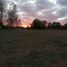  Land for sale in Chile, Villarrica, Cautin, Araucania, Chile
