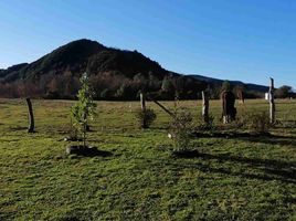  Land for sale in Chile, Villarrica, Cautin, Araucania, Chile