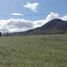  Land for sale in Chile, Villarrica, Cautin, Araucania, Chile