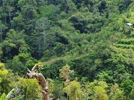  Terrain for sale in Kintamani, Bangli, Kintamani