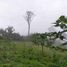  Terrain for sale in Bangli, Bali, Kintamani, Bangli