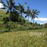  Land for sale in Klungkung, Bali, Nusa Penida, Klungkung