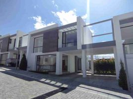 3 chambre Villa for sale in Tumbaco, Quito, Tumbaco