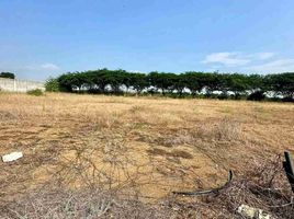  Terreno (Parcela) en venta en Samborondón, Guayas, Samborondon, Samborondón