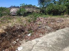  Terreno (Parcela) en venta en Consolacion, Central Visayas, Consolacion