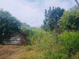  Land for sale in Tarlac, Central Luzon, Bamban, Tarlac