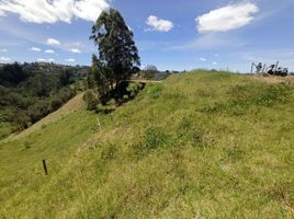  Terreno (Parcela) en venta en San Vicente, Antioquia, San Vicente