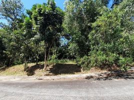 Terrain à vendre à Antipolo City, Calabarzon, Antipolo City, Rizal