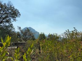  토지을(를) Tepoztlan, 모렐 로스에서 판매합니다., Tepoztlan