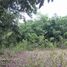  Terreno (Parcela) en venta en Dauis, Central Visayas, Dauis