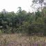  Terreno (Parcela) en venta en Dauis, Central Visayas, Dauis