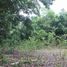  Terreno (Parcela) en venta en Dauis, Central Visayas, Dauis