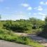  Land for sale in Seye, Yucatan, Seye