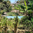  Land for sale in Malacatos Valladolid, Loja, Malacatos Valladolid, Loja, Loja