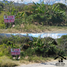  Land for sale in Malacatos Valladolid, Loja, Malacatos Valladolid, Loja, Loja