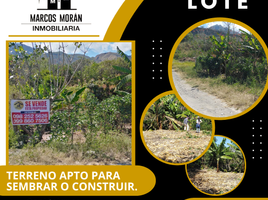  Land for sale in Malacatos Valladolid, Loja, Malacatos Valladolid, Loja, Loja
