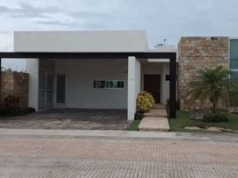 Maison 3 chambre à vendre à Merida, Yucatan, Merida, Yucatan