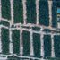  토지을(를) Isla Mujeres, Quintana Roo에서 판매합니다., Isla Mujeres