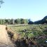  Land for sale in Cardenal Caro, Libertador General Bernardo Ohiggins, Navidad, Cardenal Caro