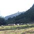  Land for sale in Cardenal Caro, Libertador General Bernardo Ohiggins, Navidad, Cardenal Caro