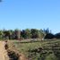  Land for sale in Cardenal Caro, Libertador General Bernardo Ohiggins, Navidad, Cardenal Caro