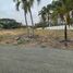  Land for sale in Samborondon, Guayas, Samborondon, Samborondon