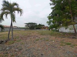  Terreno (Parcela) en venta en Samborondón, Guayas, Samborondon, Samborondón