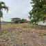  Land for sale in Samborondon, Guayas, Samborondon, Samborondon