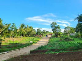  Land for sale in Alfonso, Calabarzon, Alfonso