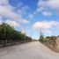  Land for sale in Alfonso, Calabarzon, Alfonso