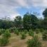  Land for sale in Tulua, Valle Del Cauca, Tulua