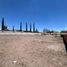  Terreno (Parcela) en venta en Chihuahua, Chihuahua, Chihuahua, Chihuahua