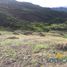  Land for sale in Nanegal, Quito, Nanegal