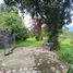  Terreno (Parcela) en venta en Tumbaco, Pichincha, Tumbaco