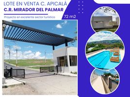  Terreno (Parcela) en venta en Tolima, Carmen De Apicala, Tolima