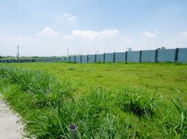  Terrain for sale in Calabarzon, Calamba City, Laguna, Calabarzon
