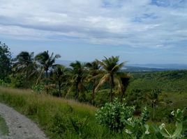  Land for sale in San Fernando, Cebu, San Fernando