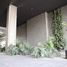 61 SqM Office for rent in Ocoyucan, Puebla, Ocoyucan