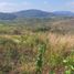  Land for sale in La Pila, Montecristi, La Pila