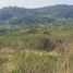  Land for sale in Montecristi, Manabi, La Pila, Montecristi