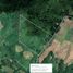  Land for sale in Busuanga, Mimaropa, Busuanga, Palawan, Mimaropa