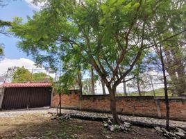 1 Bedroom House for sale in Ixtlahuacan De Los Membrillos, Jalisco, Ixtlahuacan De Los Membrillos